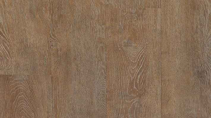 Victory-Brown-0931-sft (1)