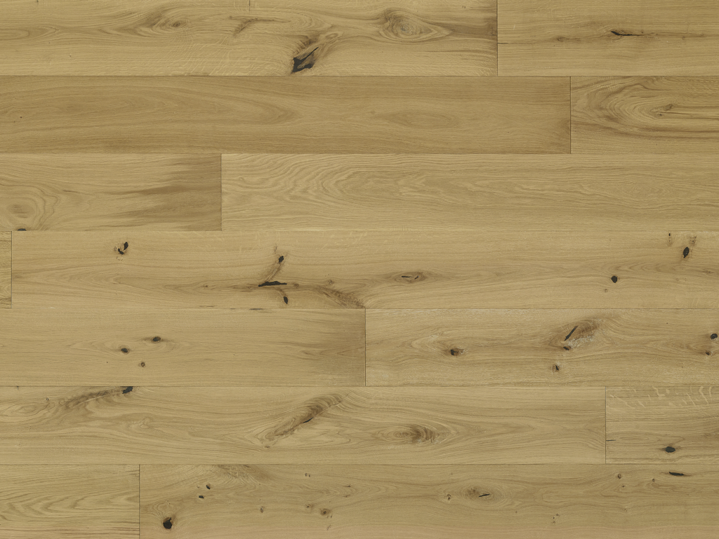 costa_vasto2020_1704x1306_9869b92d-1d27-4bdf-8b9a-3832262d245d_2000x