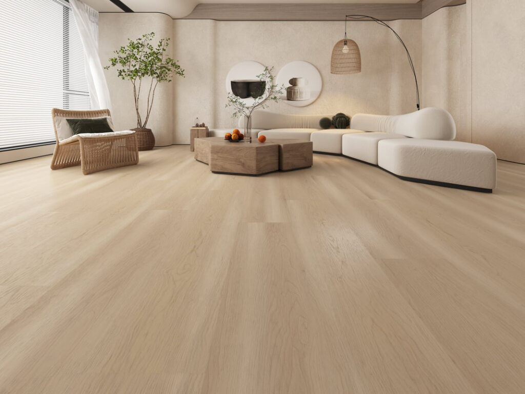 Libourne - Medieval Floors