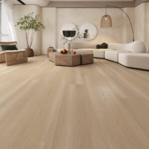 Libourne - Medieval Floors