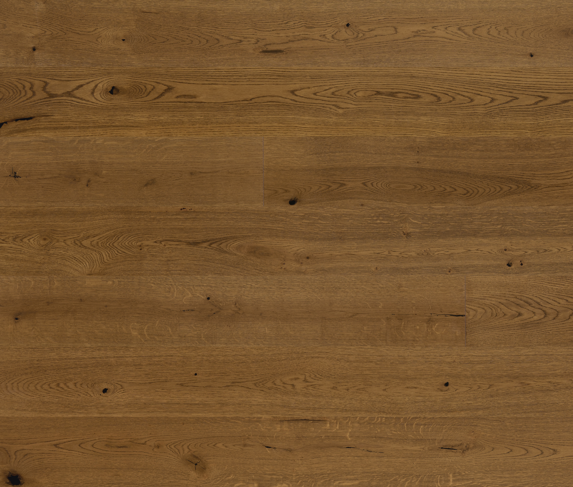 Carlton 8" Character - WOH8P4FOPVVZ