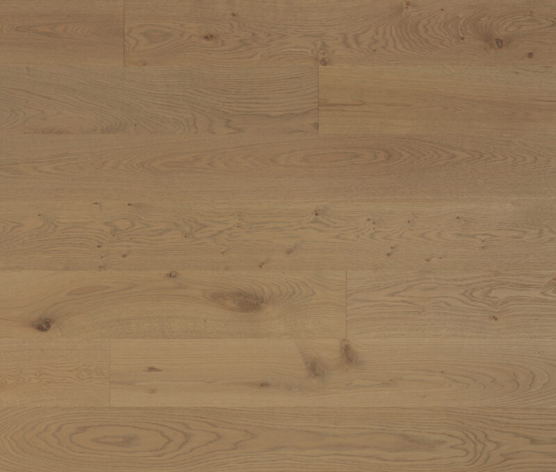 Elmont 8" Character - WOH8P4HZPVVZ