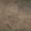 AECROCBCESP5812