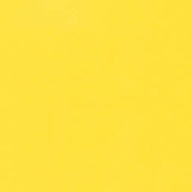 Sunflower - Daltile - Sunflower - Daltile