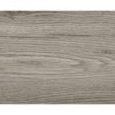 Birch White - Daltile - Birch White - Daltile