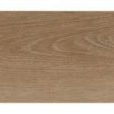 Honey Maple - Daltile - Honey Maple - Daltile