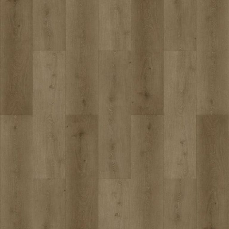 Mountain Lion KKML8011
