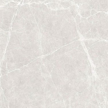 TERRE WHITE - POLISHED - 24x48