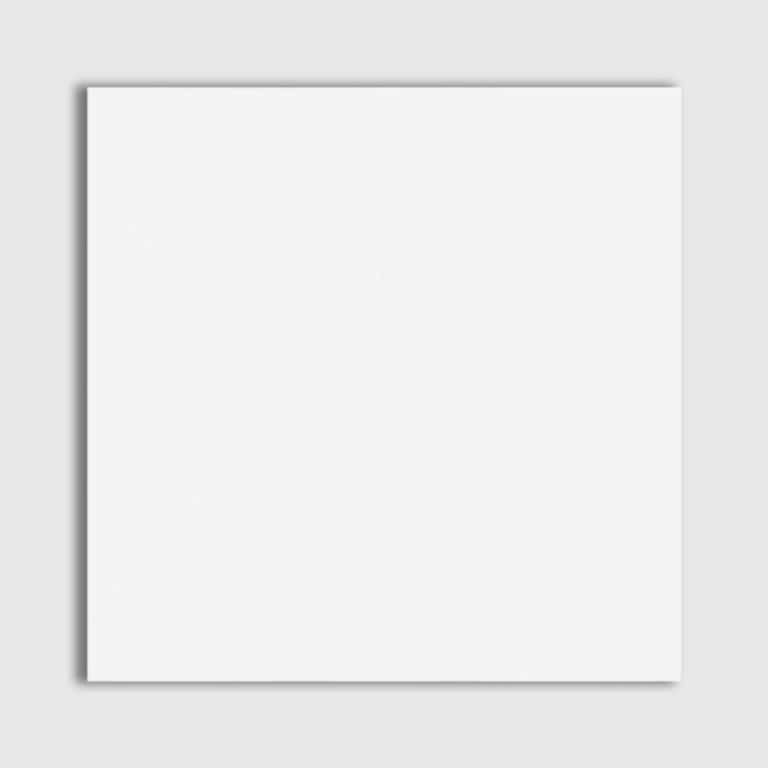 Marble Systems - Thassos White Extra Honed Marble Tile 12x12 - TL19053