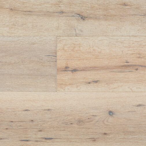 Medallion - NG-MC-BNM-7.5PL