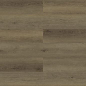 Owl - Paradigm - PPPSPC2010