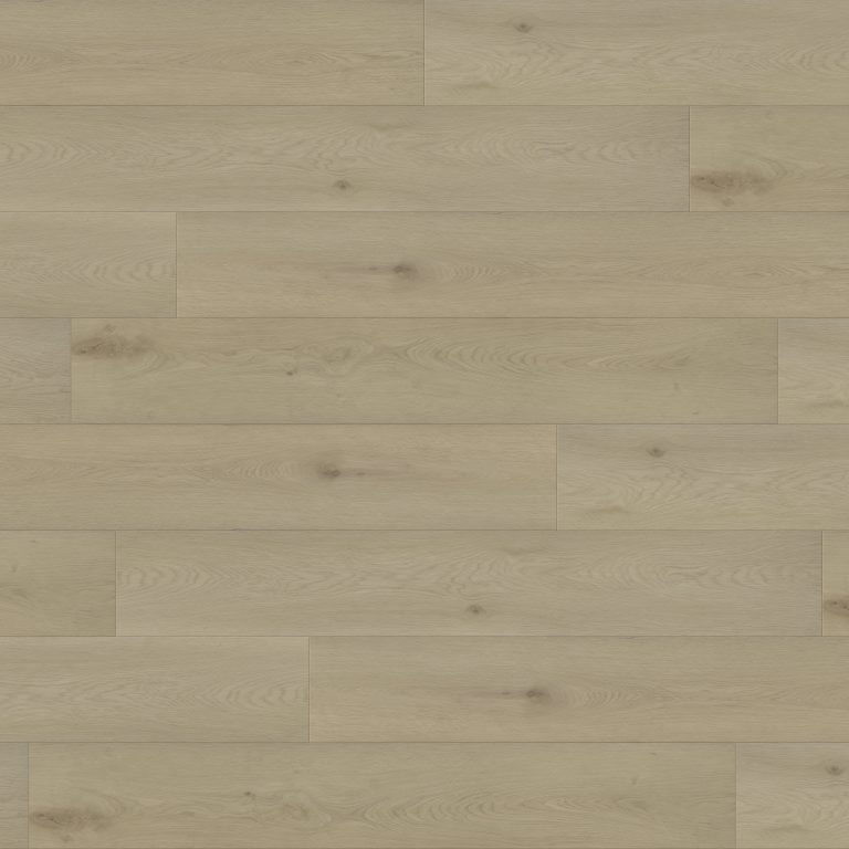 Warbler - Paradigm - PPPSPC2028