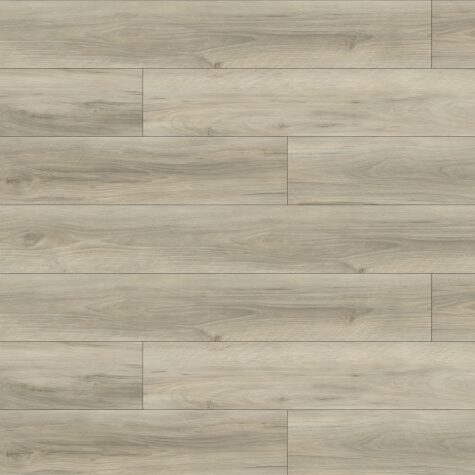 Macadamia - Paradigm - PPSPC2033