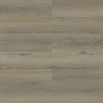 Kiwi - Paradigm - PPPSPC2002