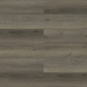 Hummingbird - Paradigm - PPPSPC2006