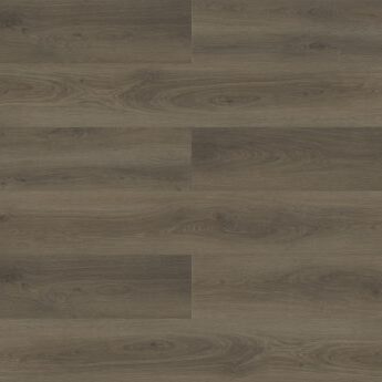 Lark - Paradigm - PPPSPC2011