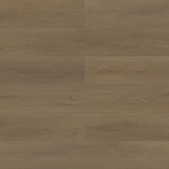 Falcon - Paradigm - PPPSPC2009