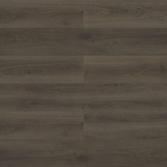 Oriole - Paradigm - PPPSPC2013