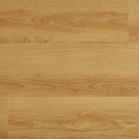 Sandlewood - Paradigm - HAW05BP9003PD