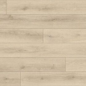 Shield - Paradigm - CON2028PAD