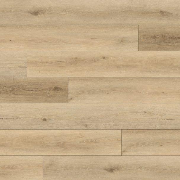 Rye - Paradigm - PPSPC2026