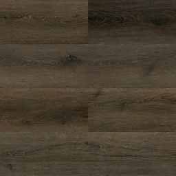 Toast - Paradigm - PPSPC1211