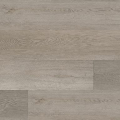 Triumph - Paradigm - CON2002PAD