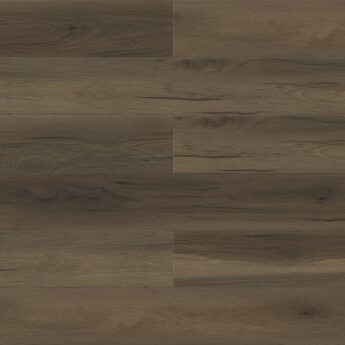 Sparrow - Paradigm - PPPSPC2017