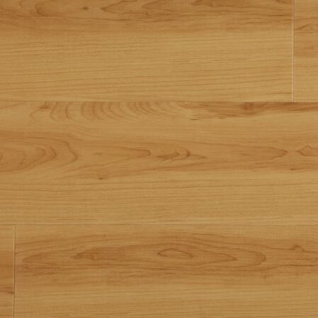 Guava - Paradigm - HAW05BP9002PD