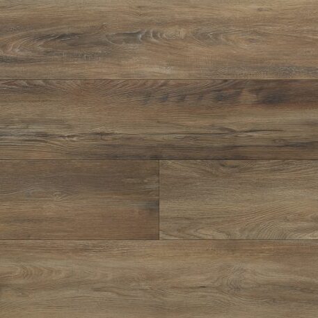 Knight - Paradigm - CON2017PAD