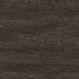 Hazel - Paradigm - PPSPC1207