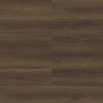 Eagle - Paradigm - PPPSPC2018