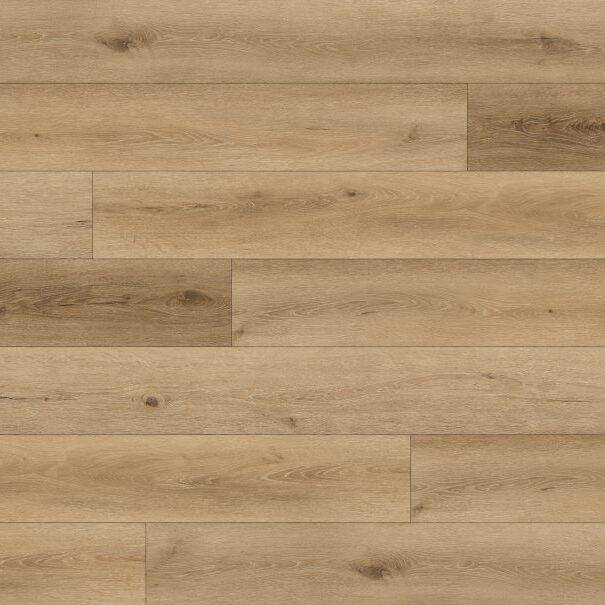 Agave - Paradigm - PPSPC2024