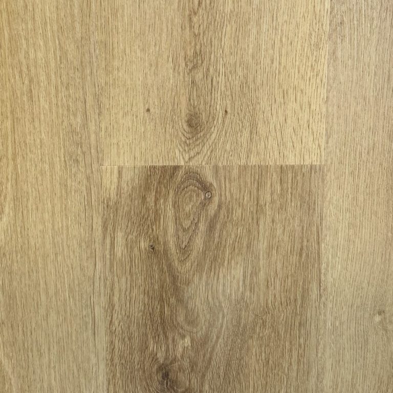 666b2b5b1a00479e4f712b64_IMG_0013