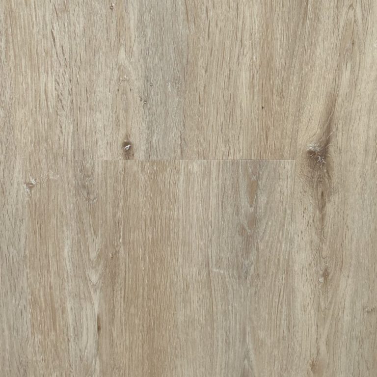 666b2bb215235d8c23661f33_IMG_0015