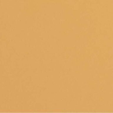 Matte Mustard - Daltile - Matte Mustard - Daltile