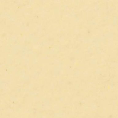 Cornsilk - Daltile - Cornsilk - Daltile