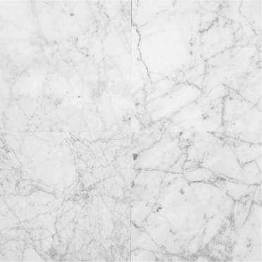 Carrara Gioia - Daltile - Carrara Gioia - Daltile