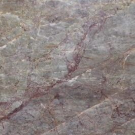 2cm Coral Reef - Premium