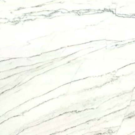 2cm Calacatta Quartzite - Premium