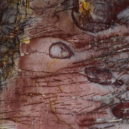 2cm Cosmopolitan - Premium