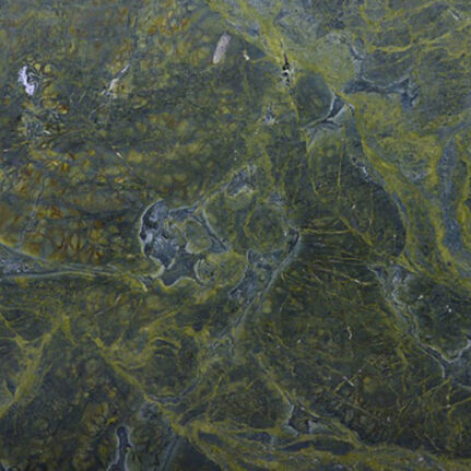 2cm Vitoria Regia - Select