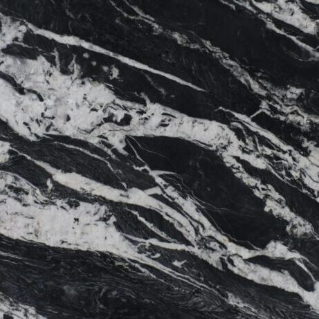 2cm Mandrake -Premium