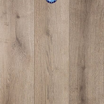 Provenza - Warm Tribute - PRO3212