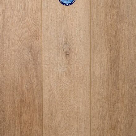 Provenza - Sweet Talker - PRO2611