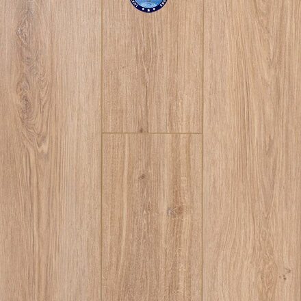 Provenza - First Glance - PRO2617