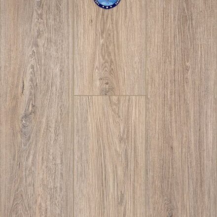 Provenza - Joy Ride - PRO2618