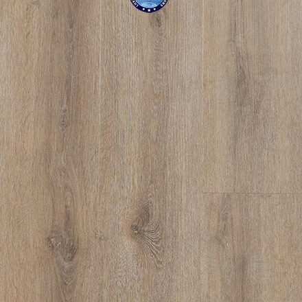 Provenza - Backstage Brown - PRO2121