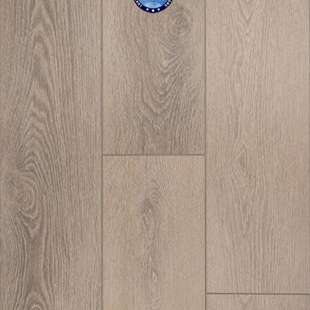 Provenza - Born Ready - PRO2136