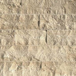 Screenshot 2026-02-27 123234